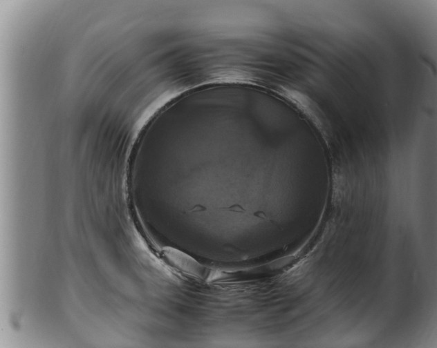 X0000100231331200806061400