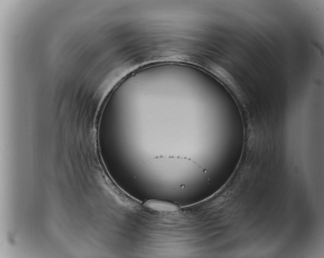 X0000100231332200806061400