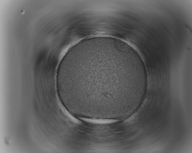 X0000100231333200806061400