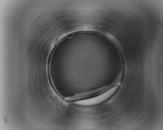 X0000100231334200806061400