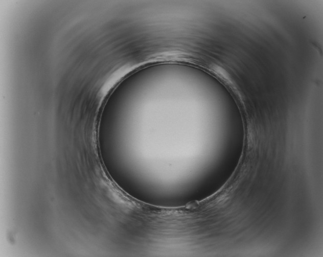 X0000100231336200806061400