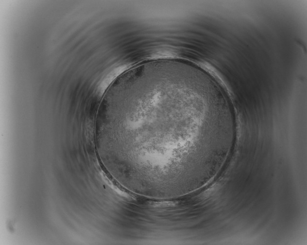 X0000100231337200806061400