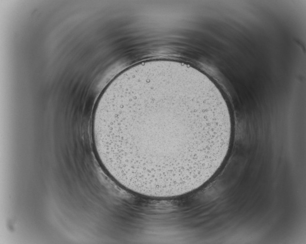 X0000100231338200806061400