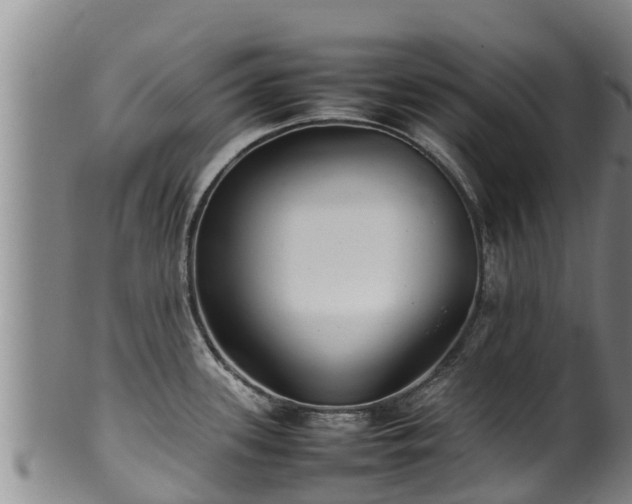 X0000100231339200806061400