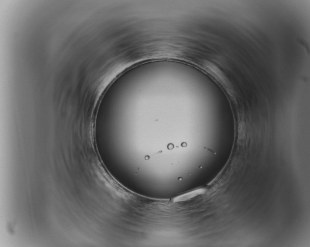 X0000100231340200806061400