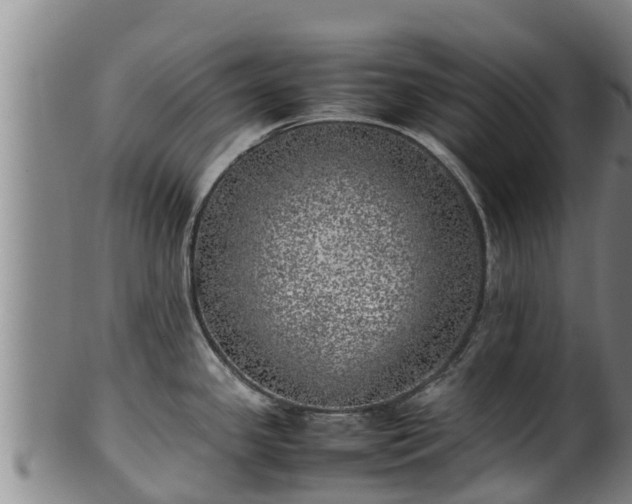 X0000100231341200806061400