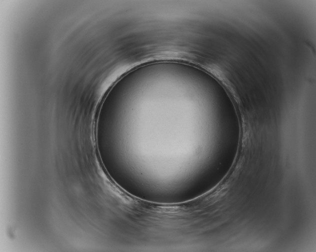 X0000100231342200806061400