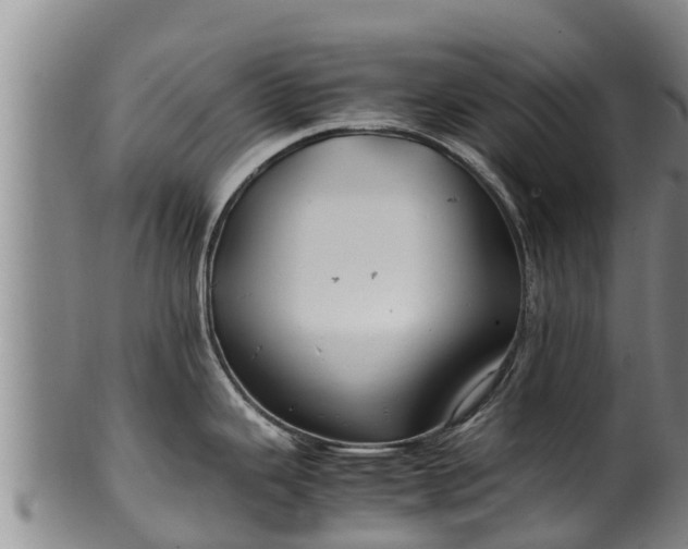 X0000100231343200806061400