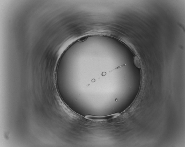 X0000100231344200806061400