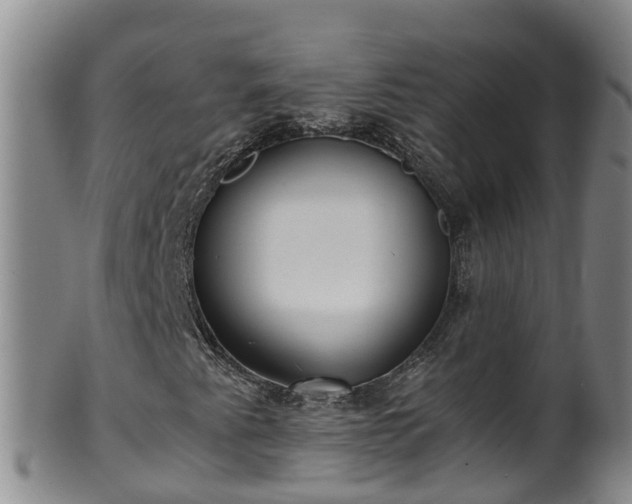 X0000100231345200806061359