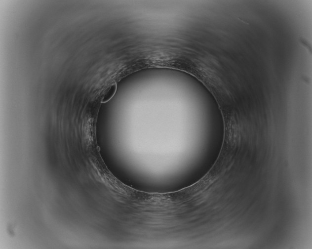 X0000100231346200806061359