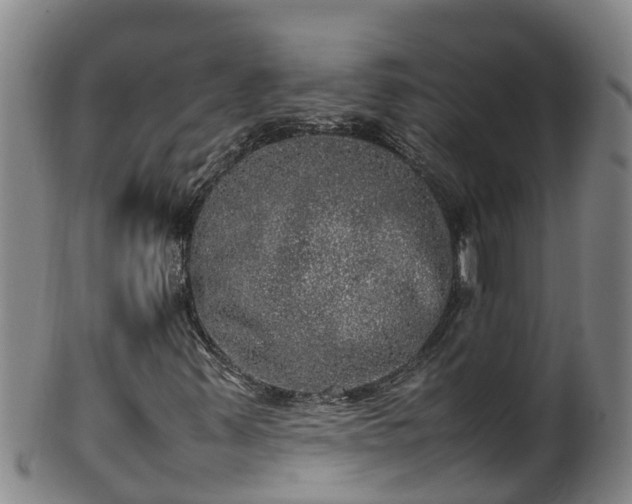 X0000100231347200806061359