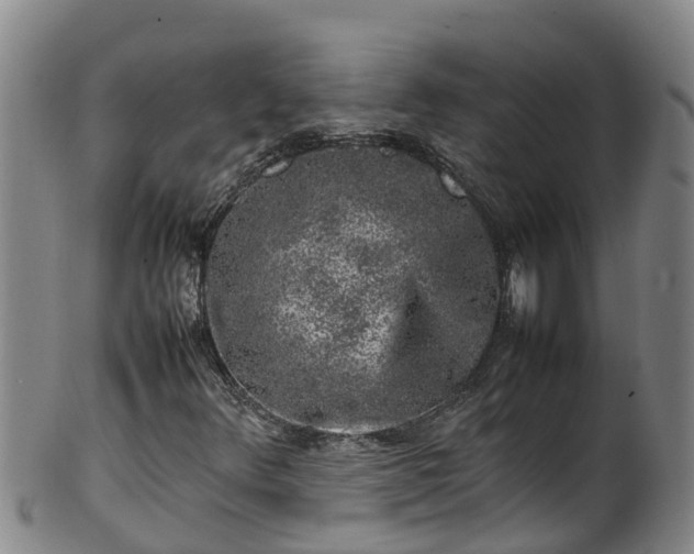 X0000100231348200806061359