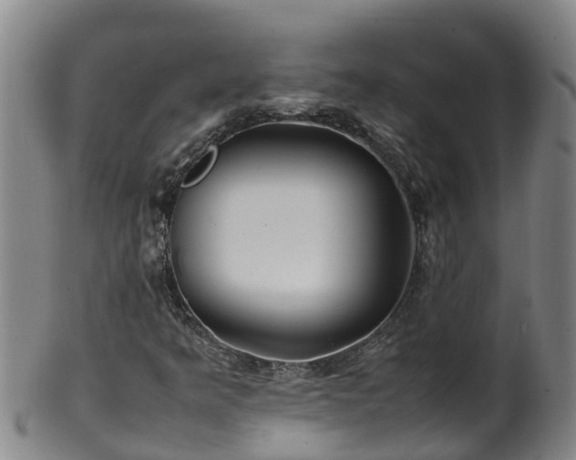 X0000100231349200806061359