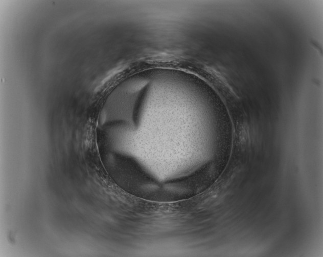 X0000100231350200806061359