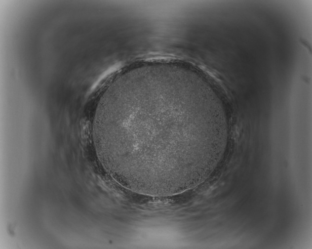 X0000100231351200806061359