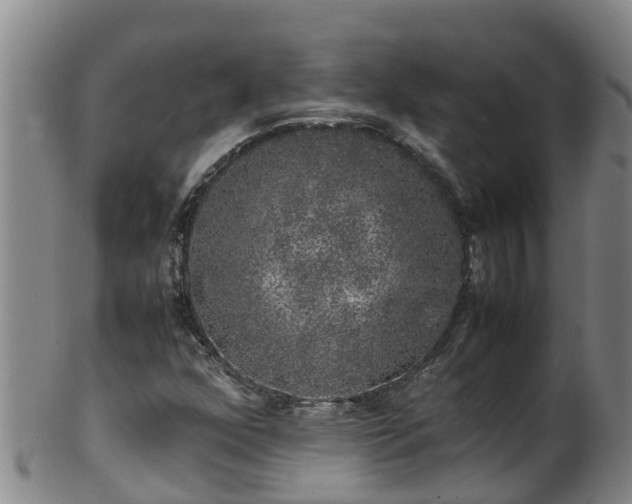 X0000100231352200806061359