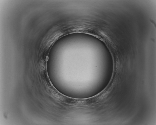 X0000100231353200806061359