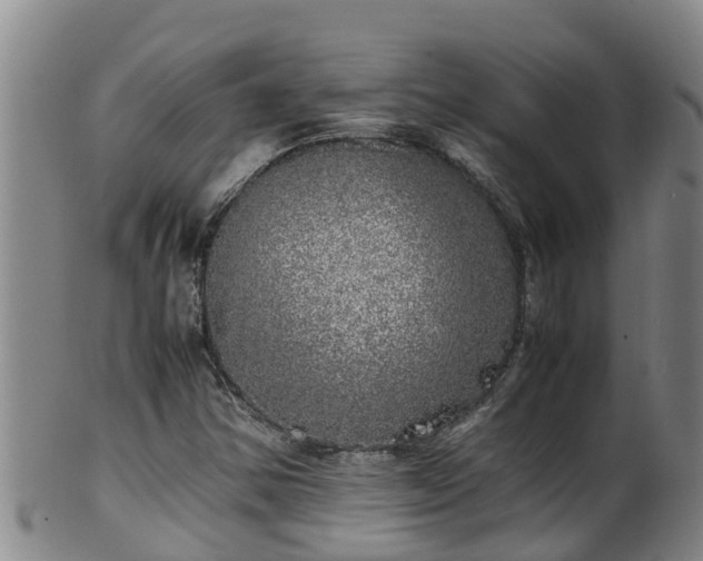 X0000100231354200806061359