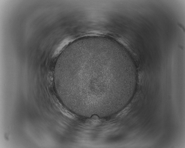 X0000100231355200806061359