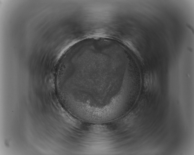 X0000100231356200806061359