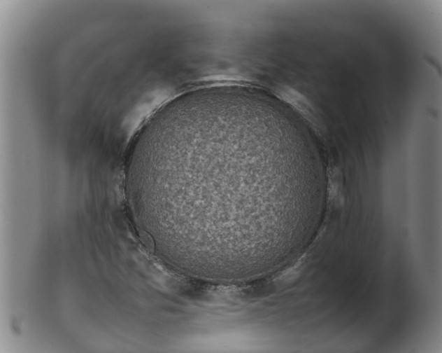 X0000100231357200806061359