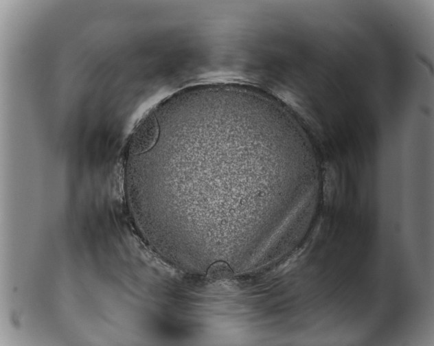 X0000100231358200806061359