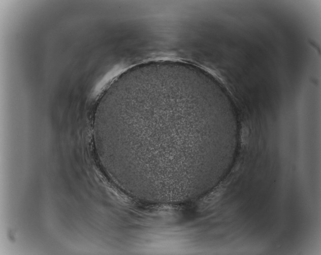 X0000100231359200806061359