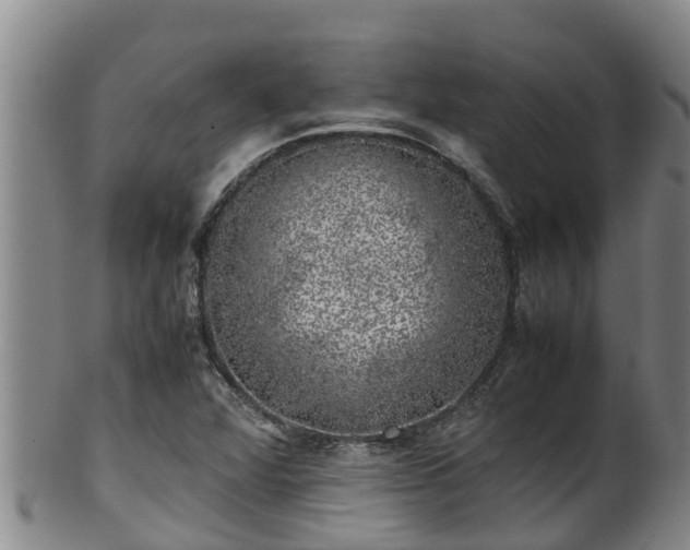 X0000100231360200806061359