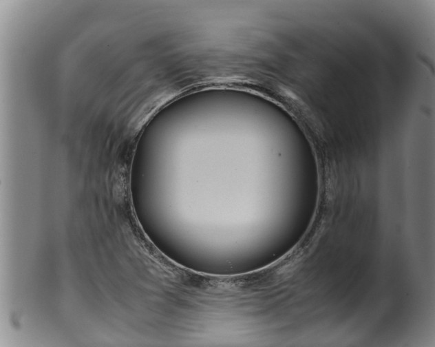 X0000100231361200806061359