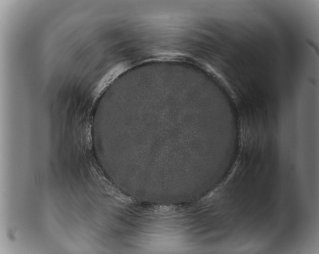 X0000100231362200806061359