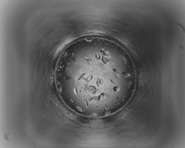 X0000100231363200806061359