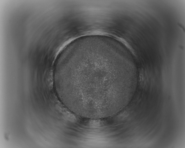 X0000100231364200806061359