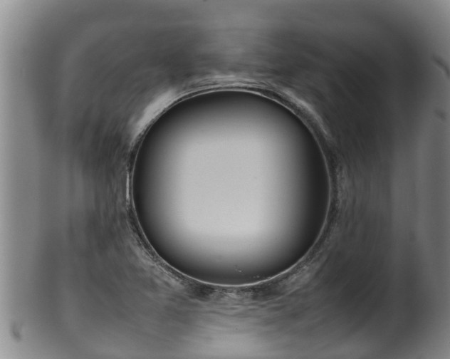 X0000100231365200806061358