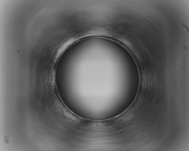 X0000100231366200806061358