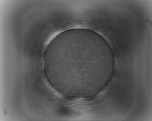 X0000100231367200806061358