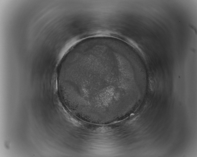 X0000100231368200806061358