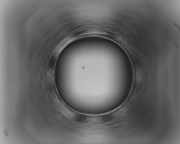 X0000100231369200806061358