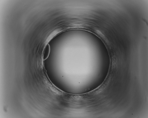 X0000100231370200806061358