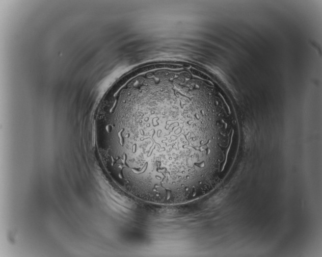 X0000100231371200806061358