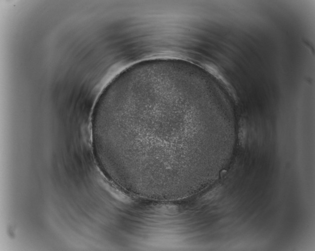 X0000100231372200806061358