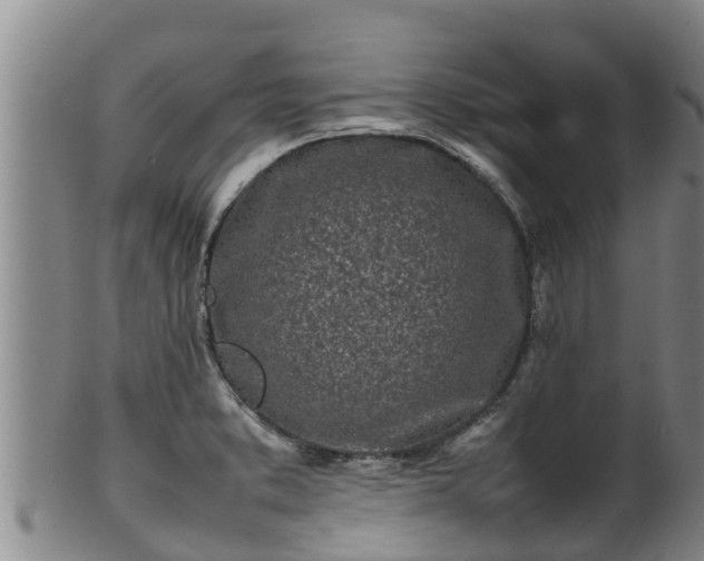 X0000100231373200806061358