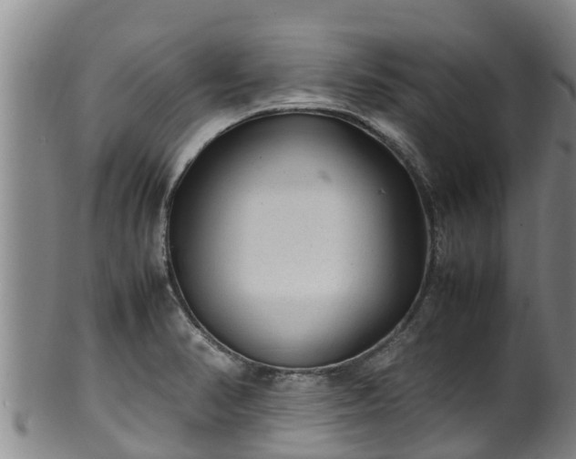 X0000100231374200806061358