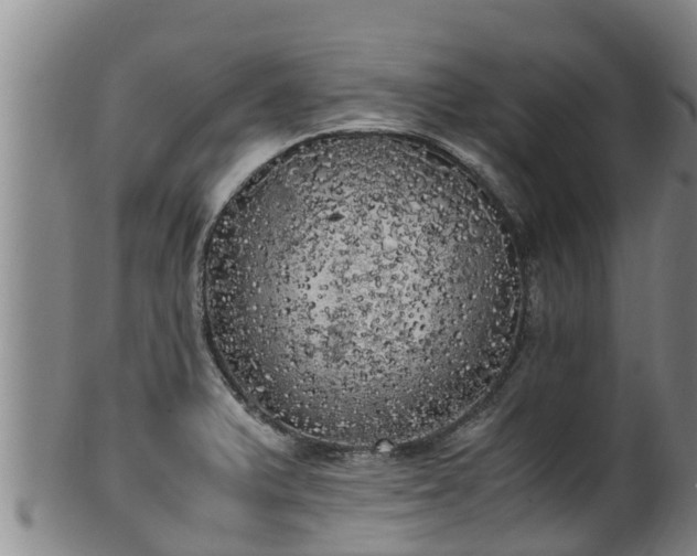 X0000100231375200806061358