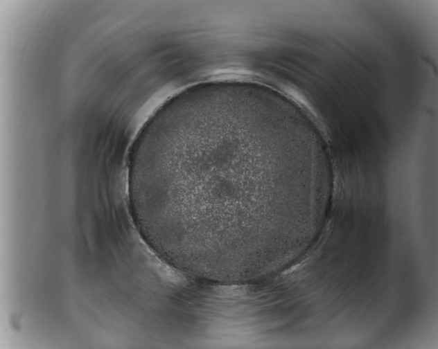 X0000100231376200806061358