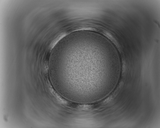 X0000100231377200806061358