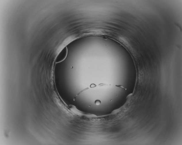 X0000100231378200806061358