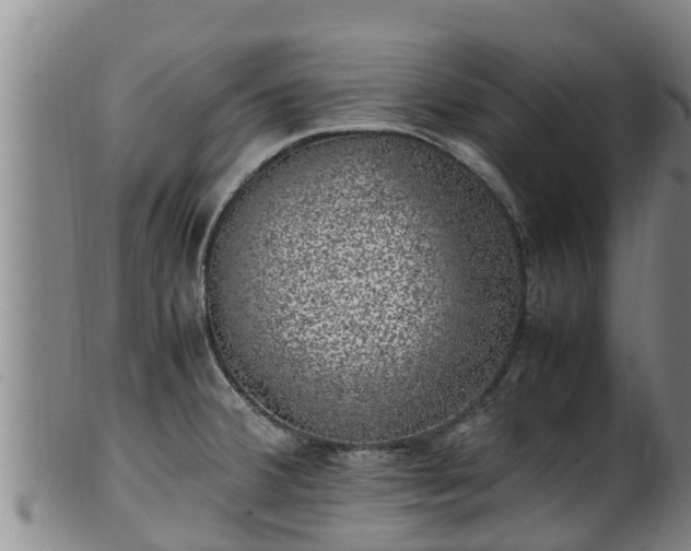 X0000100231380200806061358