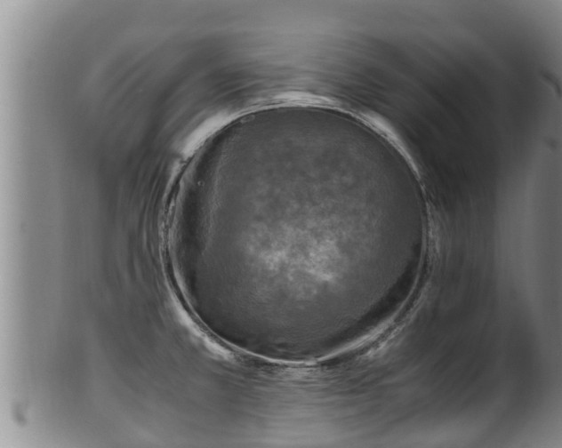 X0000100231381200806061358