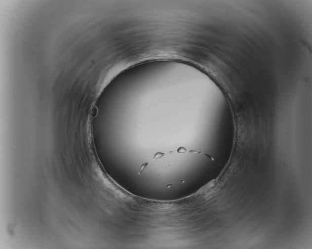 X0000100231382200806061358